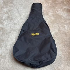 Boston acoustic guitar case
