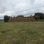 Bales of rushes Image 2