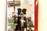 Birthday Card
