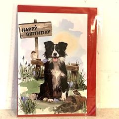 Birthday Card