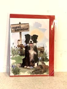 Birthday Card