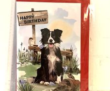 Birthday Card