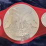 wrestling belt Image 3