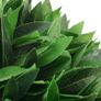 Artificial Plant Bay Tree with Pot Green 130 cm Image 2