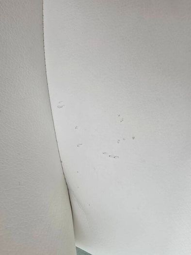 White Swivel Chair