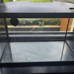 Fish Tank