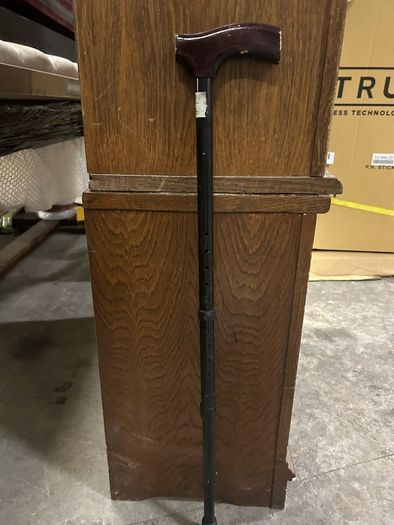 walking sticks