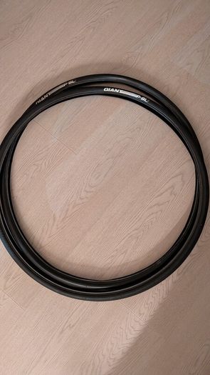 Giant P-SLR1 tyres
