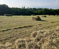 Square Hay Bale's