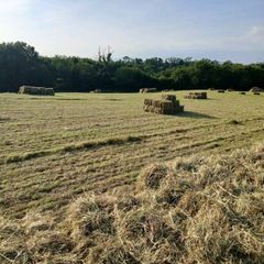 Square Hay Bale's