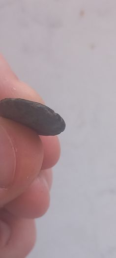 Macedonian Coin