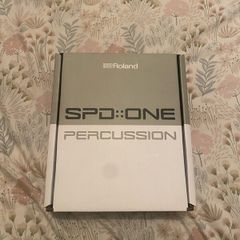 Roland SPD One Precaution
