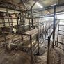 Milking palour Image 5