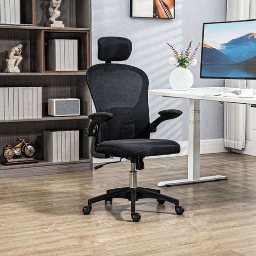 Office Chair Multi Adjustable with Lumbar Support, Headrest