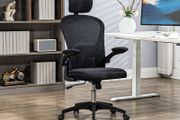 Office Chair Multi Adjustable with Lumbar Support, Headrest