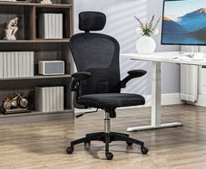 Office Chair Multi Adjustable with Lumbar Support, Headrest