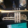 Yamaha Cornet YCR4330G Image 2
