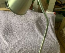 floor lamps