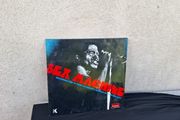 vinyl lp double james brown