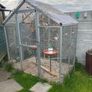 Bird Aviary Image 2