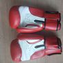 boxing gloves + shin guard leather junior 9-11 yrs Image 2