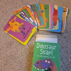 Dinosaur Snap Cards