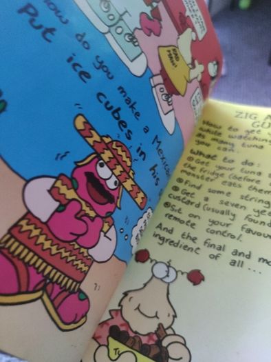 1989 zig and zag