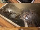 Cleaning - best reviews, references, before and after photos, let your house sparkle again Image 8
