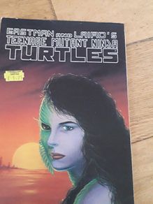 Teenage Mutant Ninja Turtles comic.