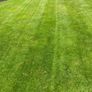 Lawnmower Image 2