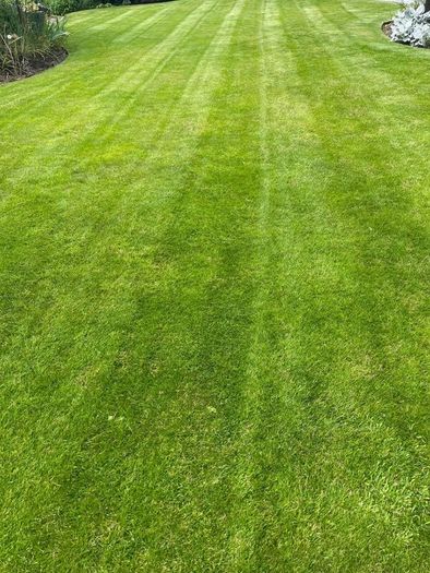 Lawnmower
