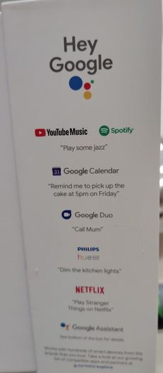 Google Nest Mini Working perfectly