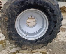 Rim