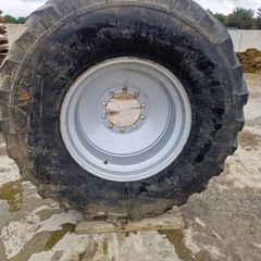 Rim
