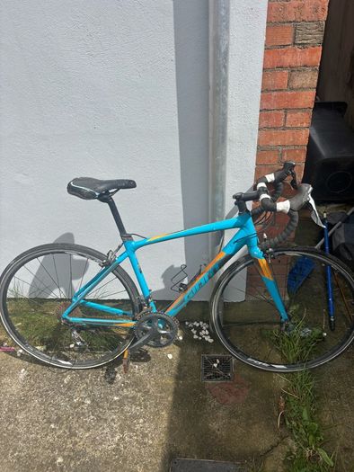 Giant Bike Frame