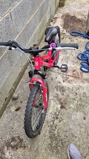 Girls 20 inch Ridgeback bike