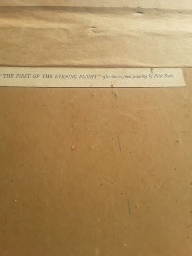 Peter Scott signed print