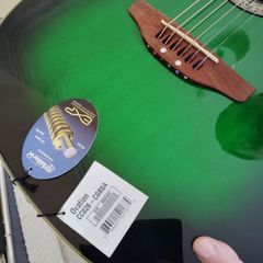 Ovation Celebrity Cadillac green