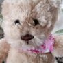 Keel Toys Teddy Bear Image 3