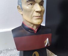 Star Trek The Next Generation - Jean Luc Picard Bust