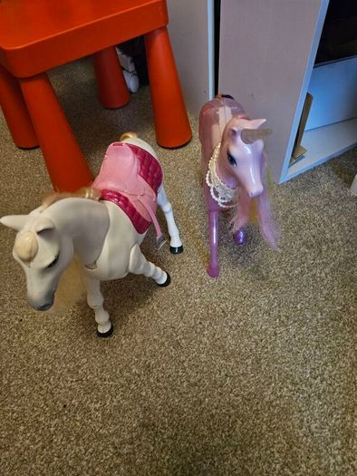 horses