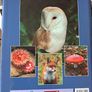 The Natural History Of Ulster Image 2