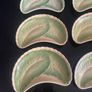 Antique Minton china lettuce leaf crescent dishes Image 2