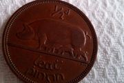 Irish Halfpenny. 1965.