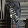 ESP LTD M17 7 string guitar Image 2