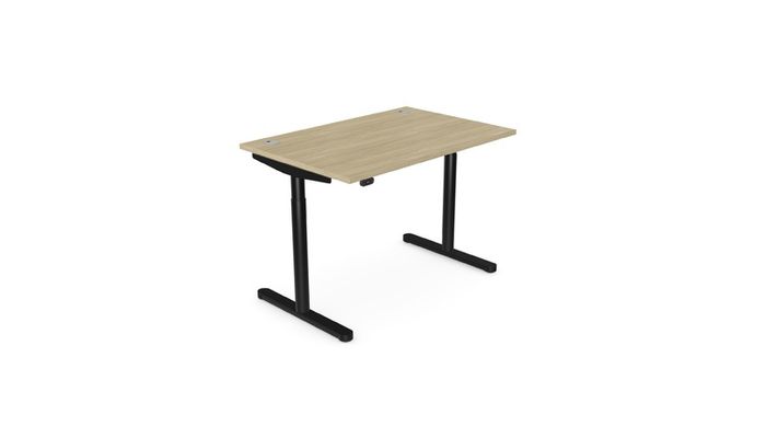 RoundE Electric Hight Adjustable Desk 1600 x 700