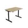 RoundE Electric Hight Adjustable Desk 1200 x 700 Image 8