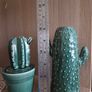 Home decoration cactus vase Image 3