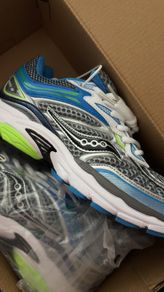 shoe