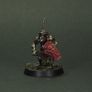 Warhammer AOS - Killaboss and Stab-grot Image 10